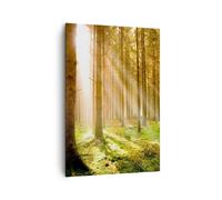 Impression sur Toile 70x100cm Tableaux Image Photo Arbres Soleil Nature