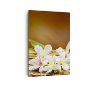 Impression sur Toile 70x100cm Tableaux Image Photo Asie spa bambou fleur