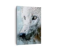 Impression sur Toile 70x100cm Tableaux Image Photo Blanc Le Loup Image