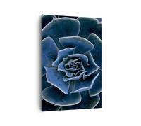 Impression sur Toile 70x100cm Tableaux Image Photo Bleu Cactus Fleur Decoration