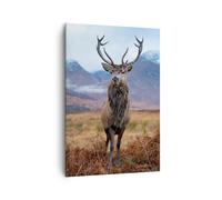 Impression sur Toile 70x100cm Tableaux Image Photo Cerf Cerf Ecosse Decoration