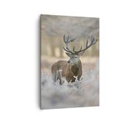 Moderne Impression sur Toile 70x100cm Image Tableau Decoration Murale cerf forêt nature Grand Tableaux Decoratifs Muraux Chambre Cuisine Vertical Deco Cadre Salon Art Wall Decor Design PA70x100-3744