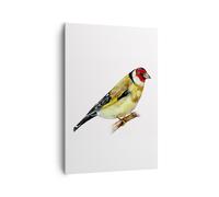 Impression sur Toile 70x100cm Tableaux Image Photo Chardonneret Oiseau Aquarelle