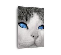 Impression sur Toile 70x100cm Tableaux Image Photo Chat animaux yeux bleus