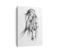 Impression sur Toile 70x100cm Tableaux Image Photo Cheval Galop Des Animaux