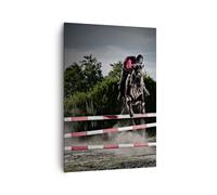Impression sur Toile 70x100cm Tableaux Image Photo Cheval sport obstacles ciel