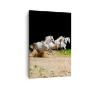 Impression sur Toile 70x100cm Tableaux Image Photo Chevaux sable herbe