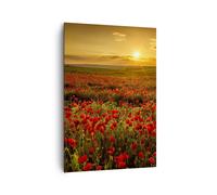 Impression sur Toile 70x100cm Tableaux Image Photo coquelicot fleur prairie