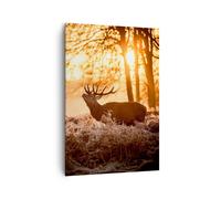 Impression sur Toile 70x100cm Tableaux Image Photo Deer bruyère animaux