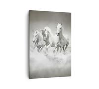 Impression sur Toile 70x100cm Tableaux Image Photo Ferme chevaux galop liberté