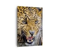 Impression sur Toile 70x100cm Tableaux Image Photo Léopard animal savane afrique
