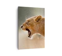 Impression sur Toile 70x100cm Tableaux Image Photo Lion Lionne Crocs Decoration