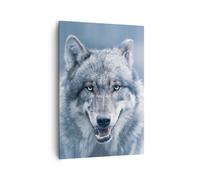 Impression sur Toile 70x100cm Tableaux Image Photo Loup Prédateur Wildness
