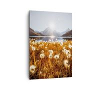 Impression sur Toile 70x100cm Tableaux Image Photo Pissenlits Soleil Champ