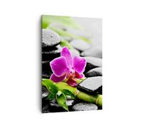 Impression sur Toile 70x100cm Tableaux Image Photo Plante pierres bambous spa