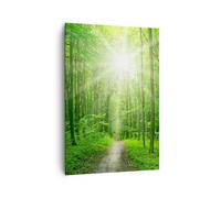 Impression sur Toile 70x100cm Tableaux Image Photo Rayons du soleil forêt été