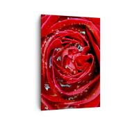 Impression sur Toile 70x100cm Tableaux Image Photo Rose fleur pétales rosée