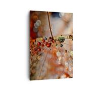 Impression sur Toile 70x100cm Tableaux Image Photo toile d'araignée moderne