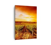Impression sur Toile 70x100cm Tableaux Image Photo Vignoble Vue Campagne