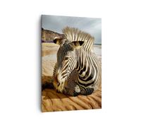 Impression sur Toile 70x100cm Tableaux Image Photo Zebra plage campagne
