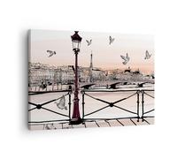 Impression sur Toile 70x50cm Tableaux France pigeon graphiques illustration