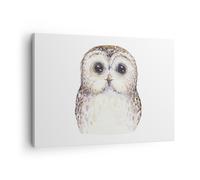 Impression sur Toile 70x50cm Tableaux Image Chouette Chouette Hulotte Graphiques
