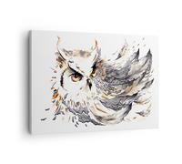 Moderne Impression sur Toile Chouette plumes la sagesse la nature Image Tableau Decoration Murale 70x50cm Deco Décoration Salon Chambre Horizontal Tableaux Decoratifs Muraux Art Wall AA70x50-3016