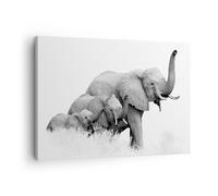 Impression sur Toile 70x50cm Tableaux Image Éléphants Famille Noir Et Blanc