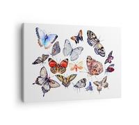 Impression sur Toile 70x50cm Tableaux Image Papillons illustration colorés ailes