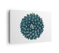 Impression sur Toile 70x50cm Tableaux Image Photo Agave Reine Victoria