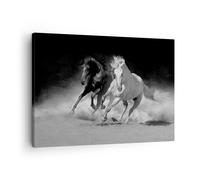 Impression sur Toile 70x50cm Tableaux Image Photo Andalouse Chevaux Galop