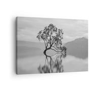 Impression sur Toile 70x50cm Tableaux Image Photo Arbre Symétrie Lac Decoration
