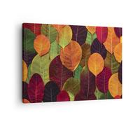 Impression sur Toile 70x50cm Tableaux Image Photo Automne Feuilles Graphismes