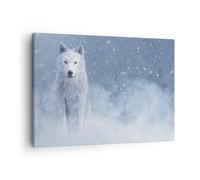 Impression sur Toile 70x50cm Tableaux Image Photo Blanc Loup Neige Decoration