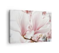 Impression sur Toile 70x50cm Tableaux Image Photo Brindille Magnolia Fleur