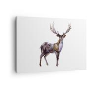 Impression sur Toile 70x50cm Tableaux Image Photo Cher Animal Sauvage Forêt