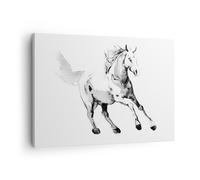 Impression sur Toile 70x50cm Tableaux Image Photo Cheval Galop Des Animaux