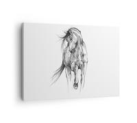 Impression sur Toile 70x50cm Tableaux Image Photo Cheval Galop Des Animaux