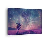 Impression sur Toile 70x50cm Tableaux Image Photo Cosmos Arbre Prairie