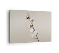Impression sur Toile 70x50cm Tableaux Image Photo Coton Brindille Boho