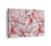 Impression sur Toile 70x50cm Tableaux Image Photo Flamant Rose Rose Exotisme