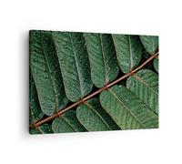 Impression sur Toile 70x50cm Tableaux Image Photo Gouttes Eau Feuilles