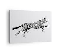 Impression sur Toile 70x50cm Tableaux Image Photo Guépard animaux points