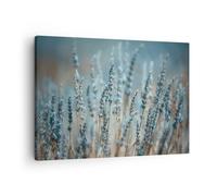 Impression sur Toile 70x50cm Tableaux Image Photo Lavande Lame Fleur Decoration