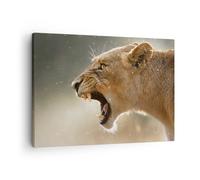 Impression sur Toile 70x50cm Tableaux Image Photo Lion Lionne Crocs Decoration