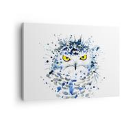 Impression sur Toile 70x50cm Tableaux Image Photo Mode design hibou aquarelle