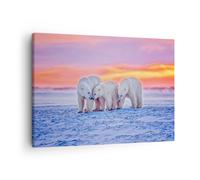 Impression sur Toile 70x50cm Tableaux Image Photo Ours Hiver Neige famille