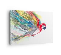 Impression sur Toile 70x50cm Tableaux Image Photo Parrot Wings Plumes nature