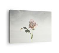 Impression sur Toile 70x50cm Tableaux Image Photo Rose Oiseaux Ciel Decoration