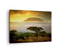 Impression sur Toile 70x50cm Tableaux Image Photo Safari la faune montagne kenya